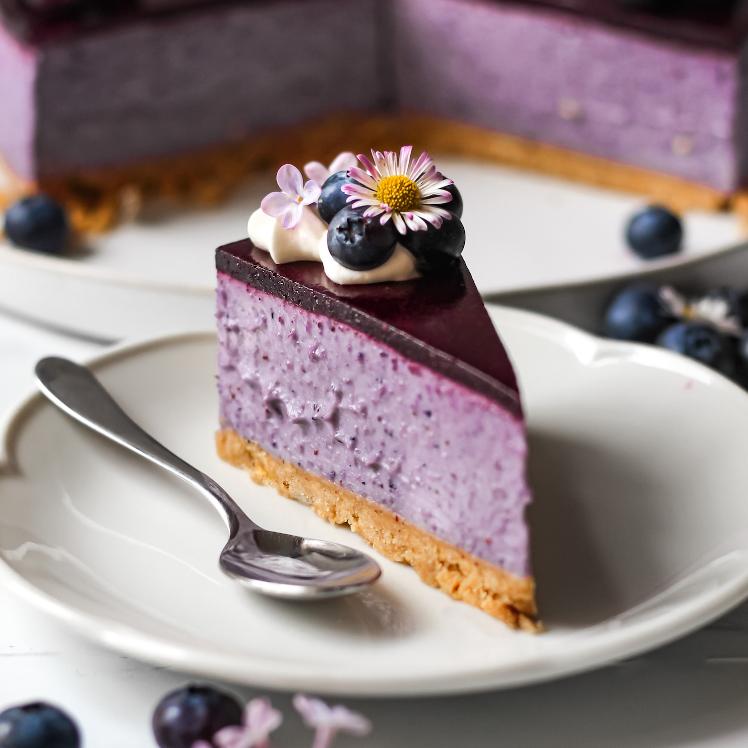 Vegan Blueberry Cheesecake (No-bake) - Project Vegan Baking